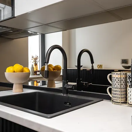 Apartment Manu Art Living Prestige Victoriei Bukarest