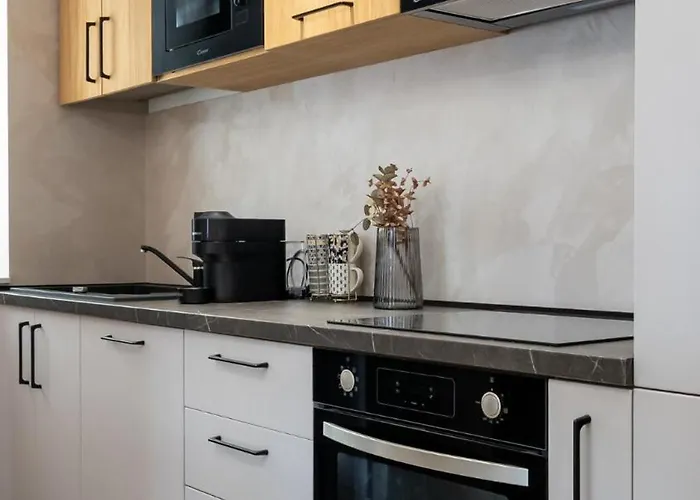 Manu Art Living Prestige Victoriei Apartman *