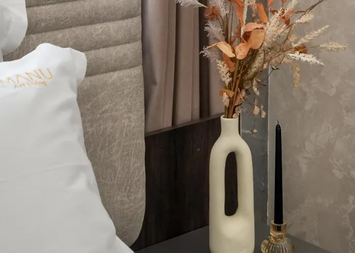 Lägenhet Manu Art Living Prestige Victoriei *