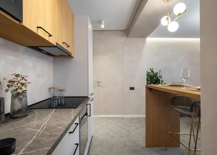 Apartment Manu Art Living Prestige Victoriei *
